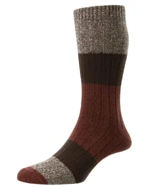 HJ Hall Akazien Strapazierfähige Baumwollsocken HJ Accessoires
