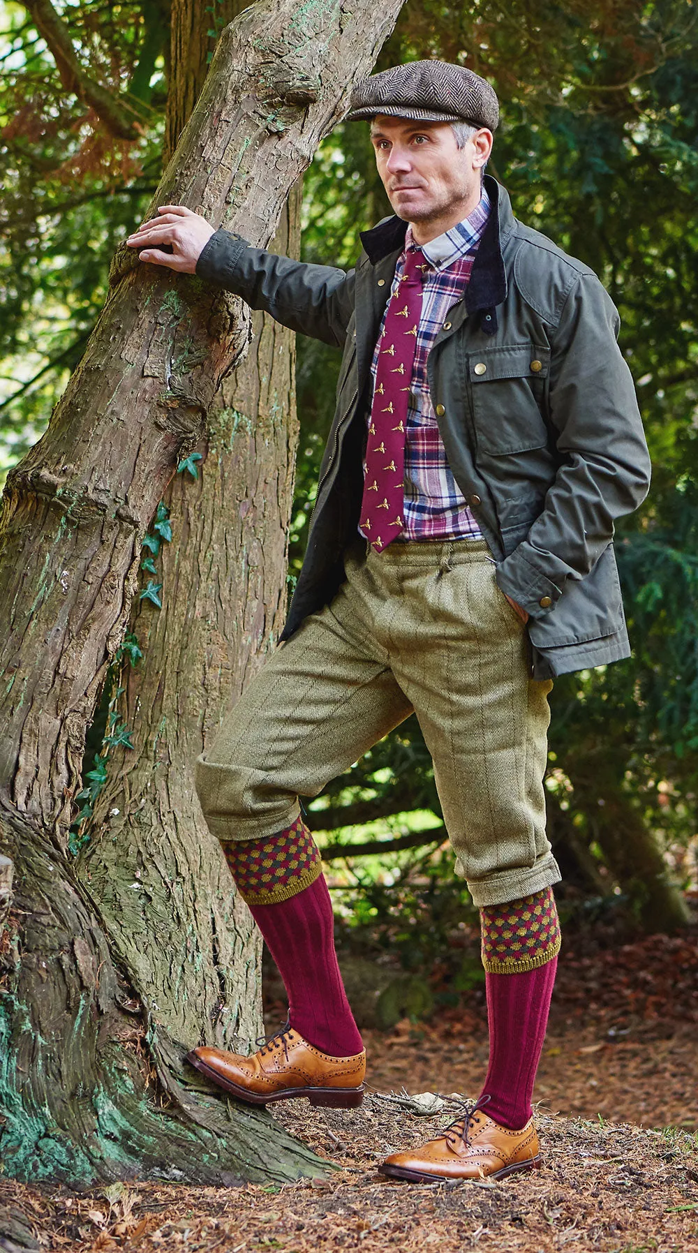 HJ Hall Hadleigh Merino Jagdsocke | Harlequin-Oberteil HJ Accessoires