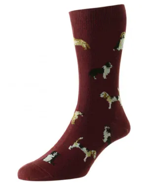 HJ Hall Herren Baumwollsocken mit Landhund-Motiv HJ Accessories