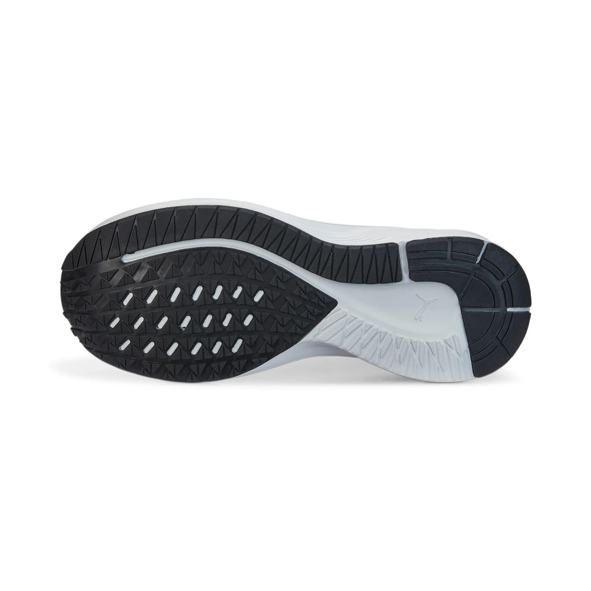 PUMA Herren Aviator Profoam Sky Winterlaufschuhe