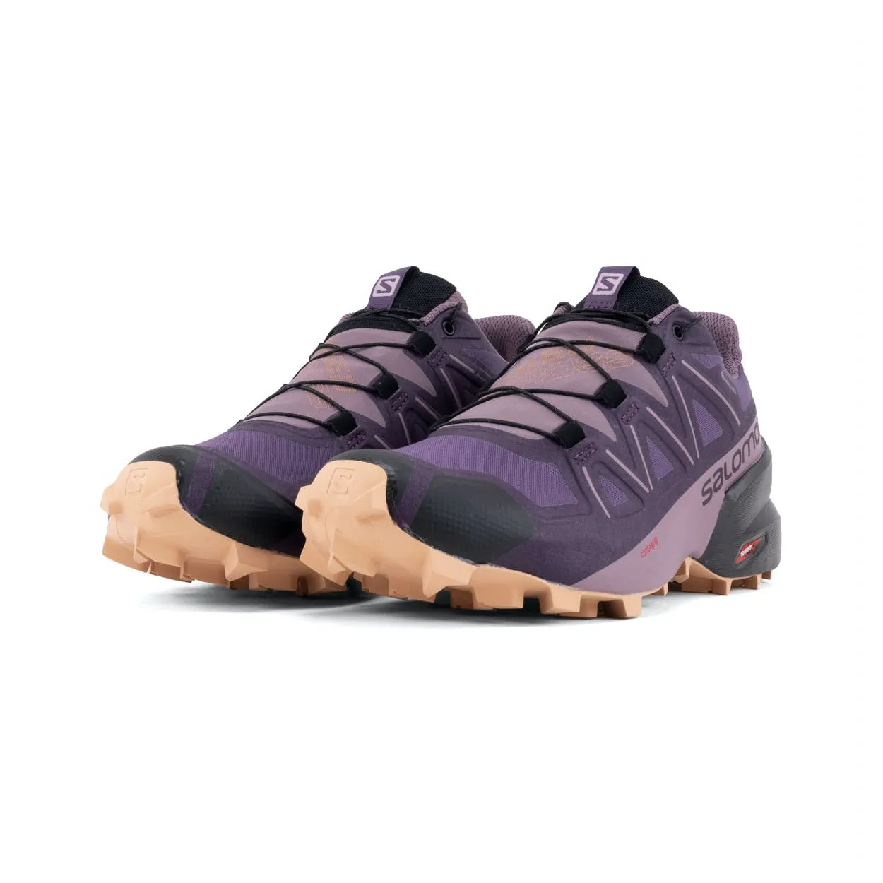 Salomon Speedcross 5 GTX Damen in Myst/Quai/Siro