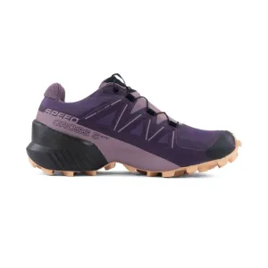 Salomon Speedcross 5 GTX Damen in Myst/Quai/Siro