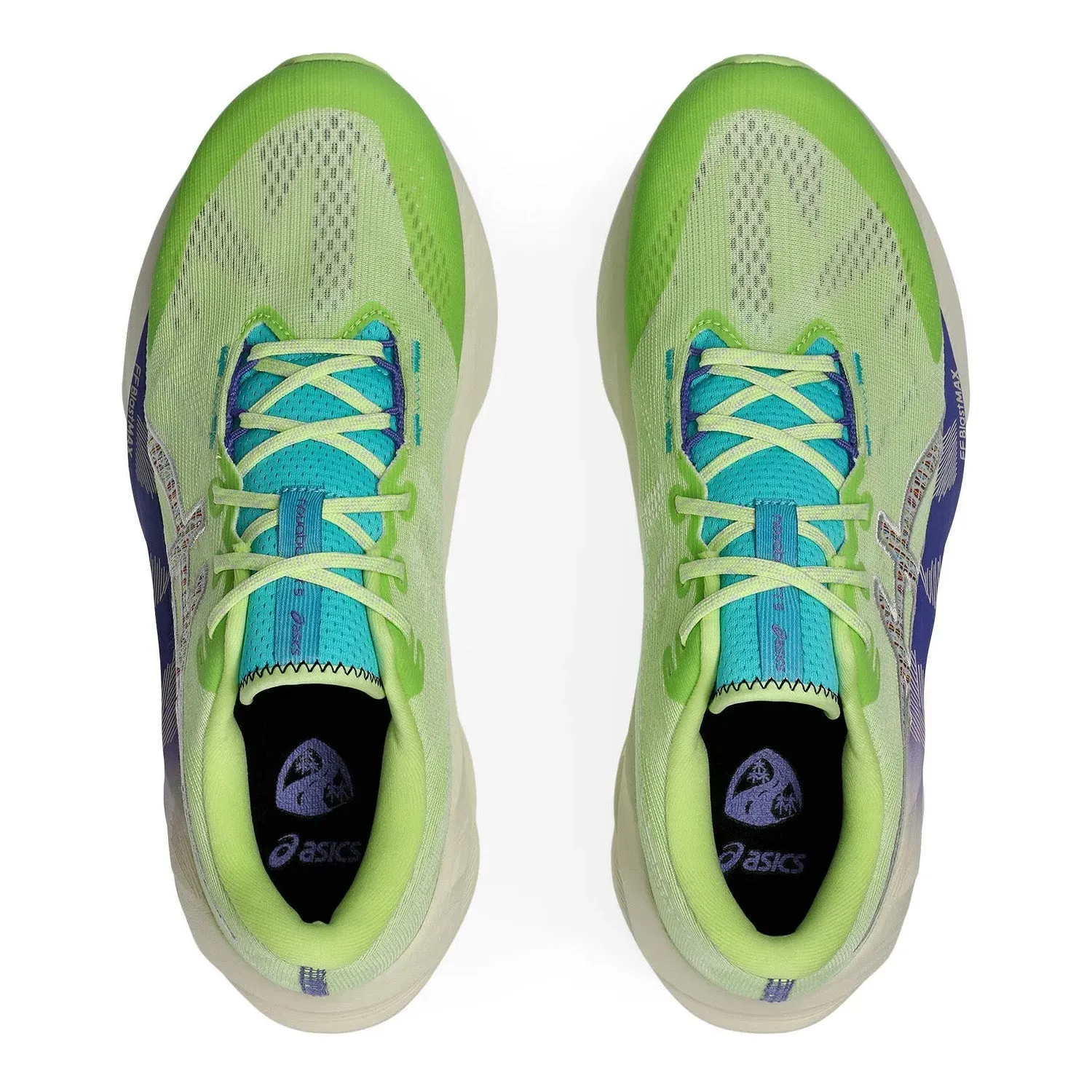 ASICS Novablast 5 TR Herren Laufschuhe für Straßen