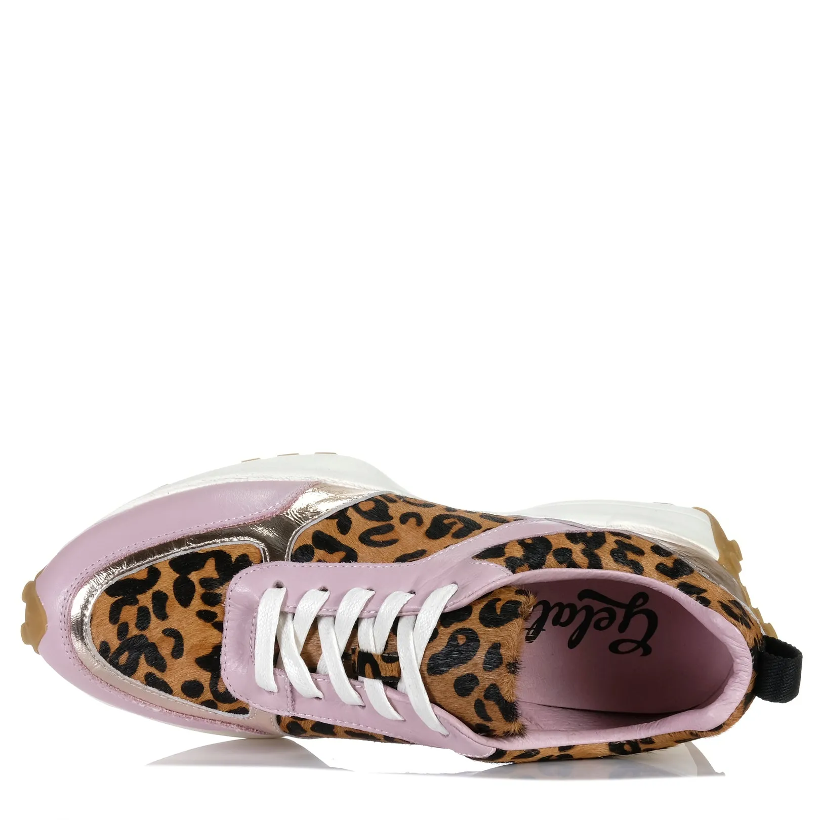 Gelato Blume Cadance/Leopard