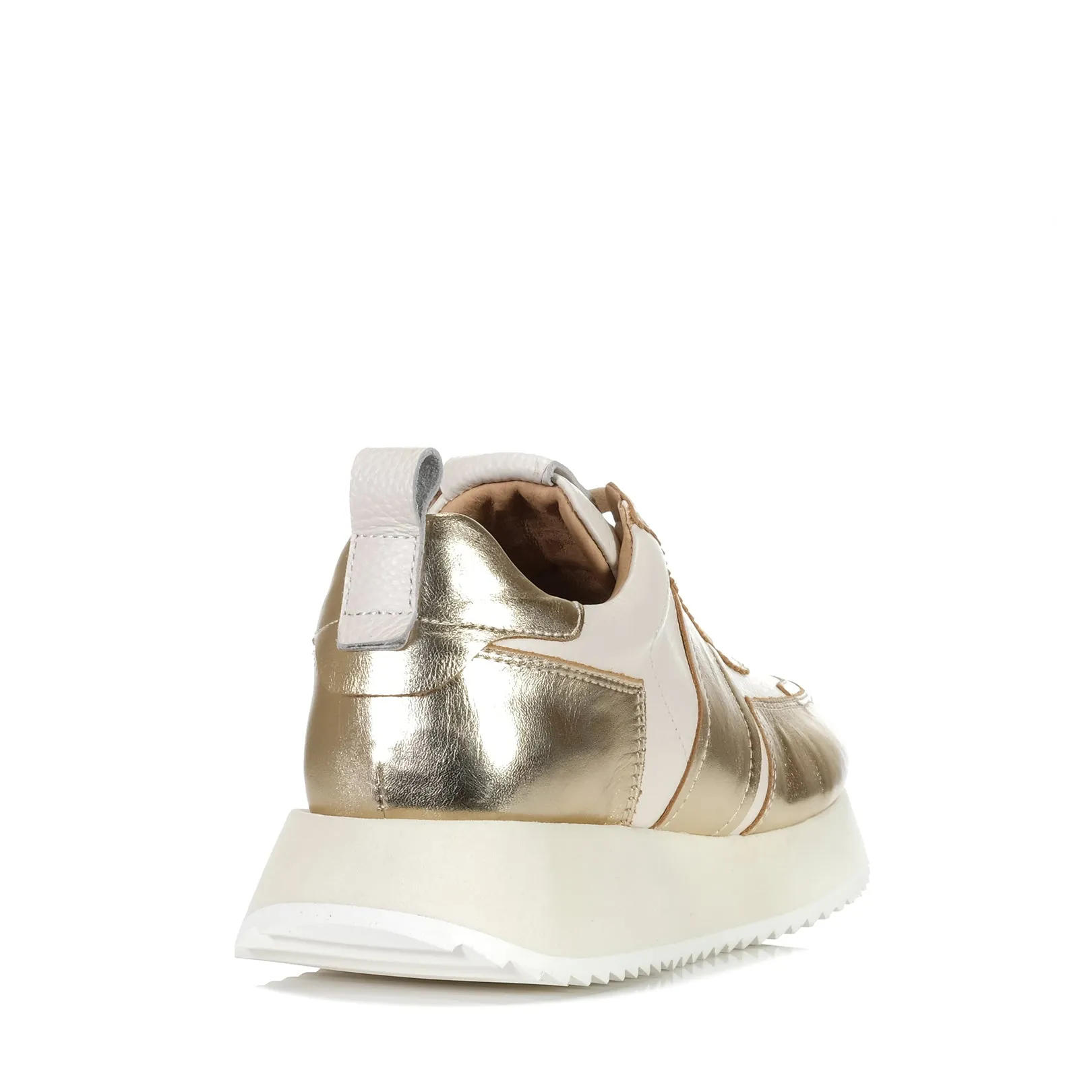Gelato Keagen Gold/Knochen