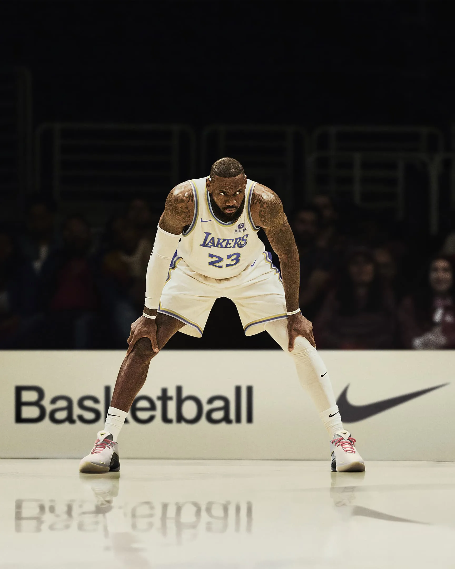 Lebron XXII 