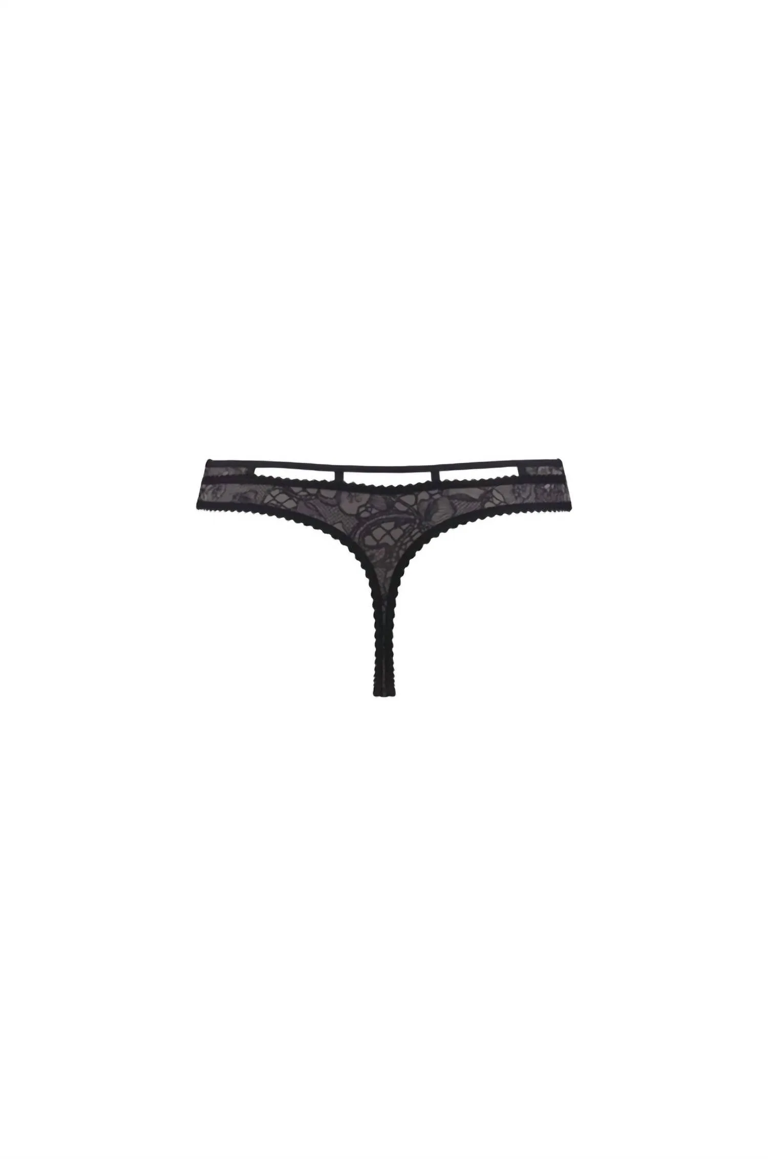 Löwin der Bretagne String-Tanga in Schwarz