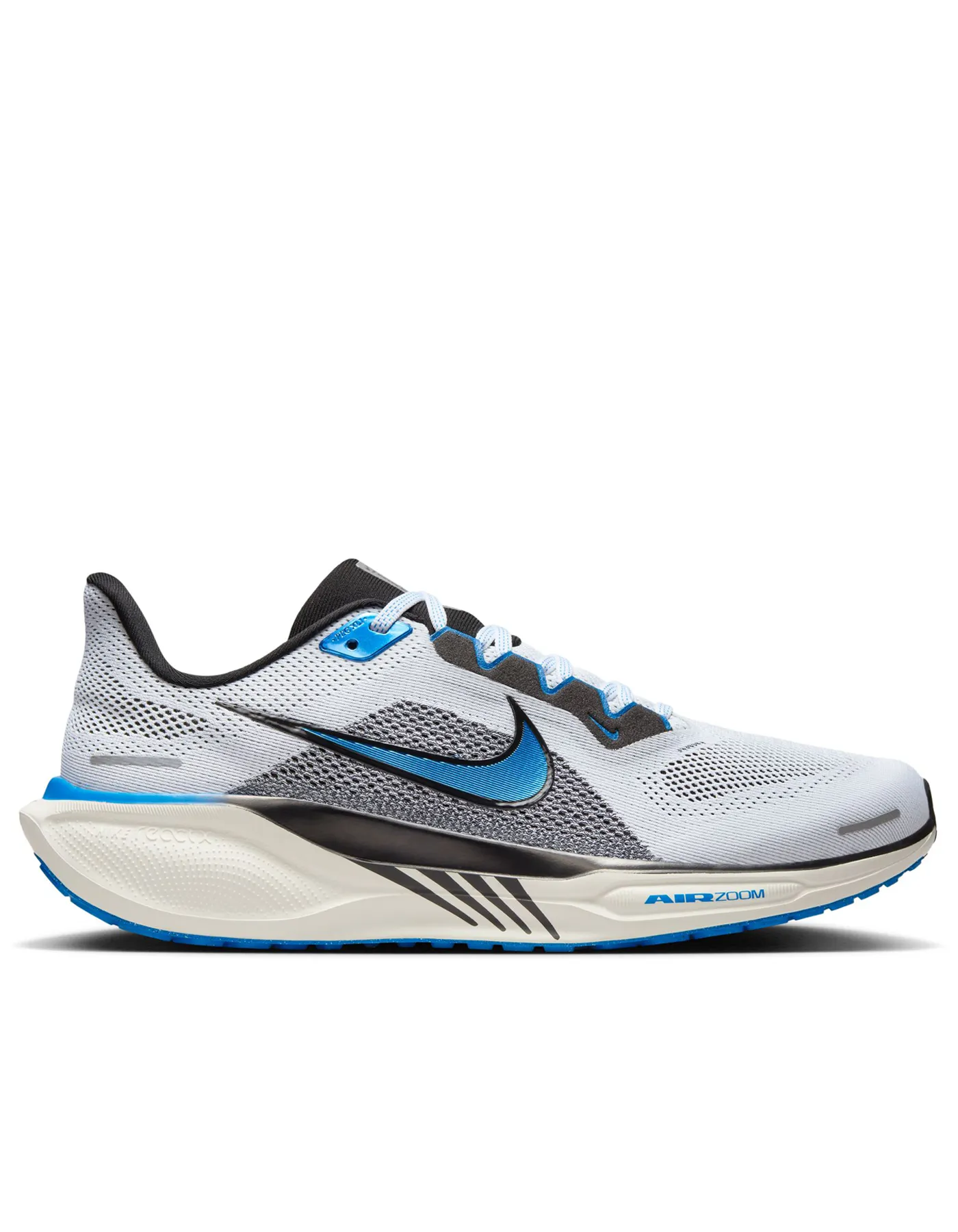 Pegasus 41 - Herren