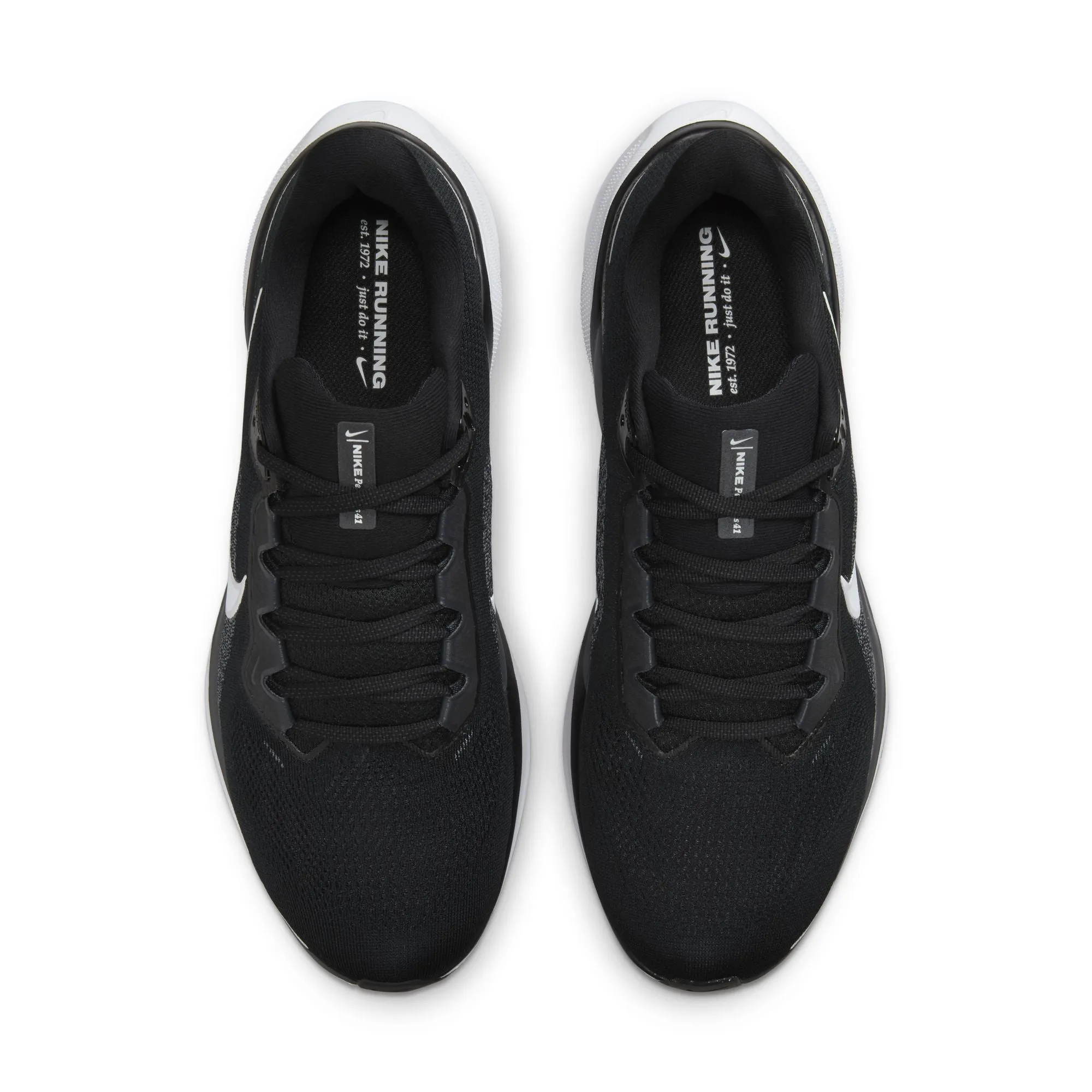 Pegasus 41 - Herren