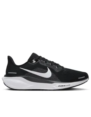 Pegasus 41 - Herren