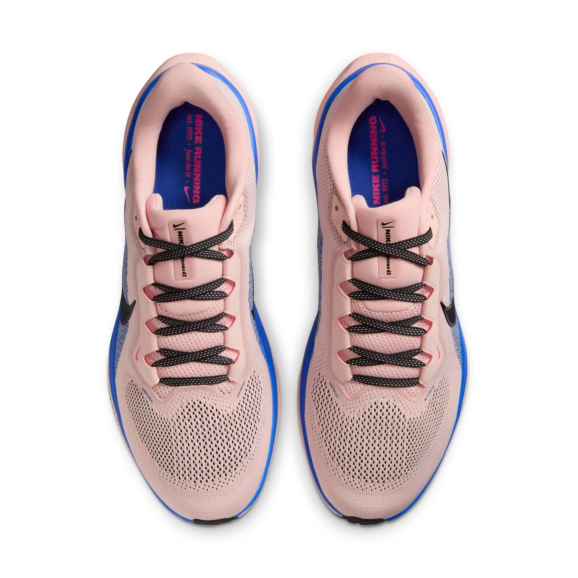 Pegasus 41 - Herren