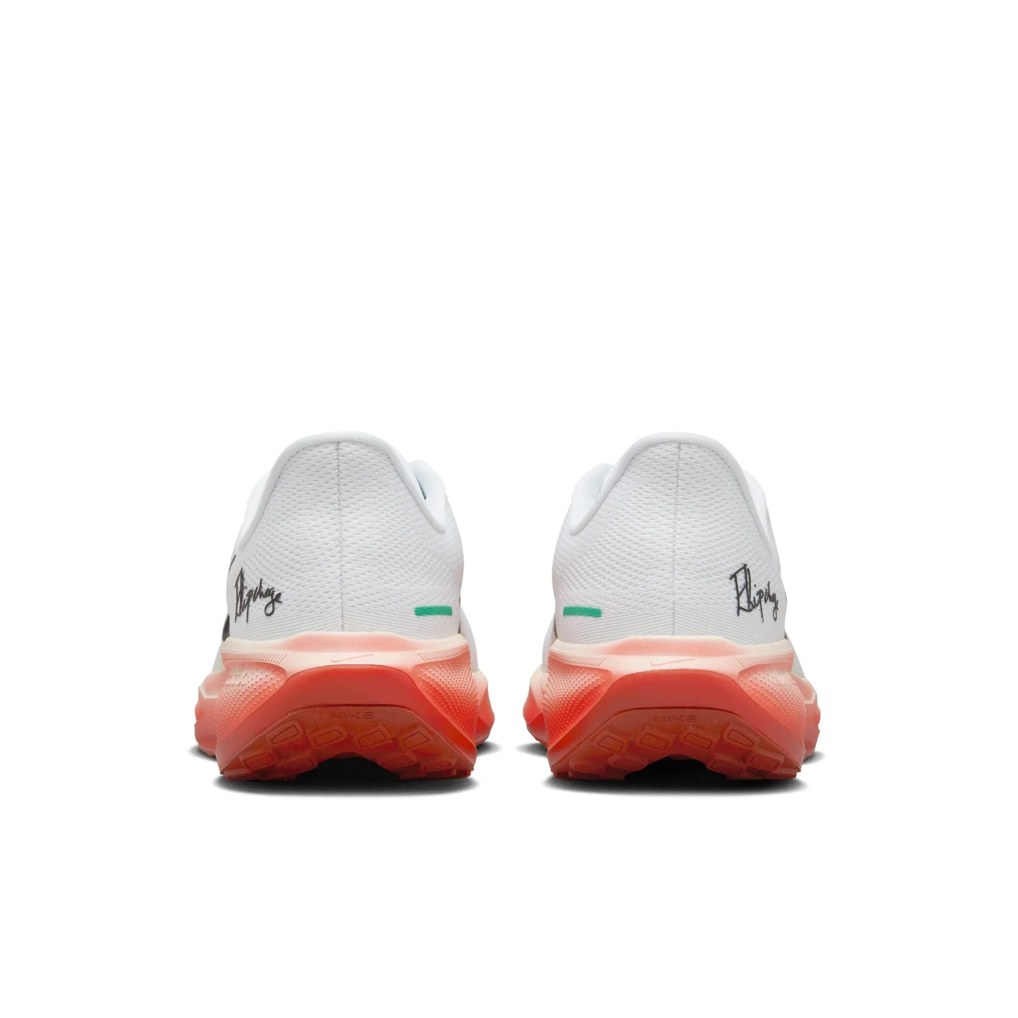 Pegasus 41 