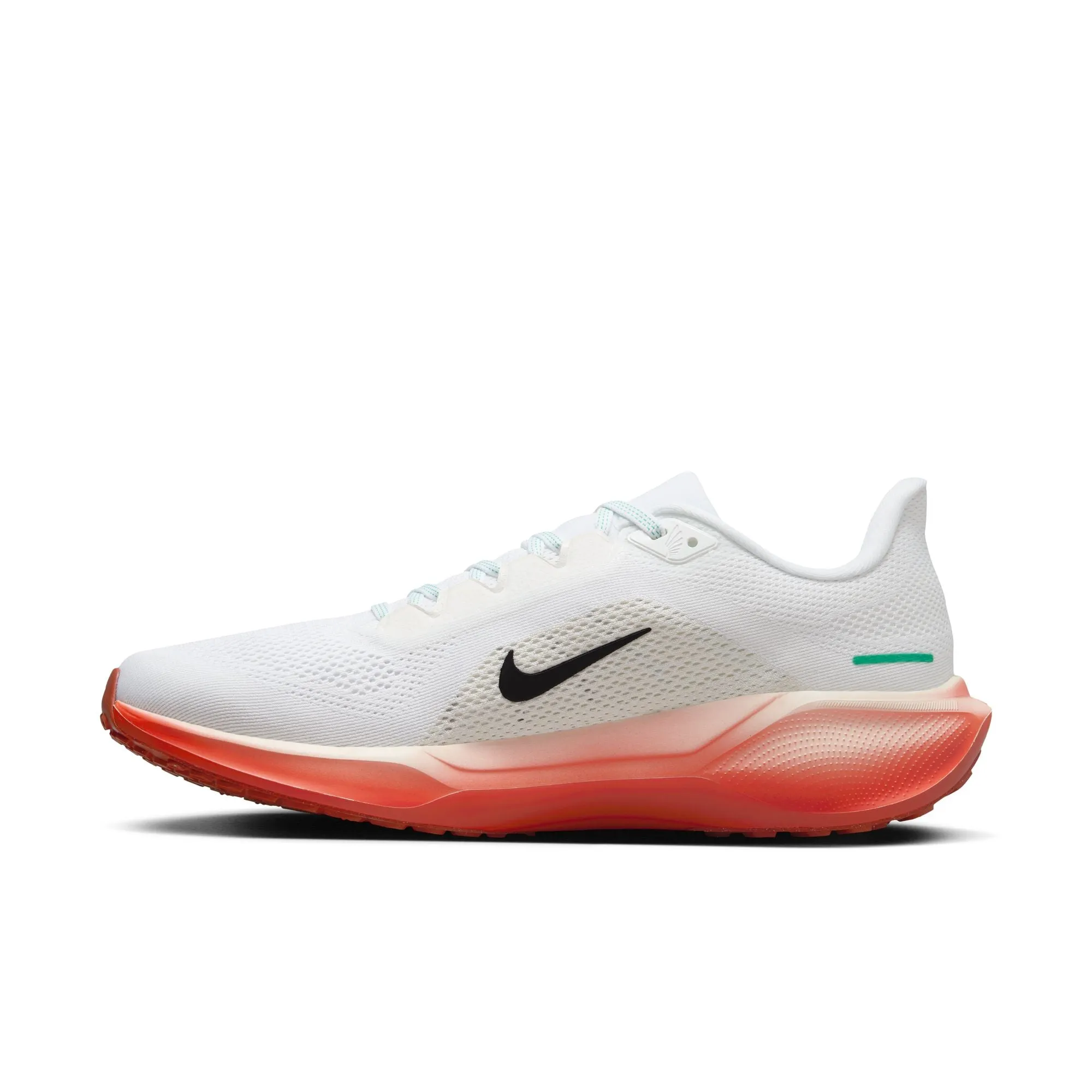 Pegasus 41 