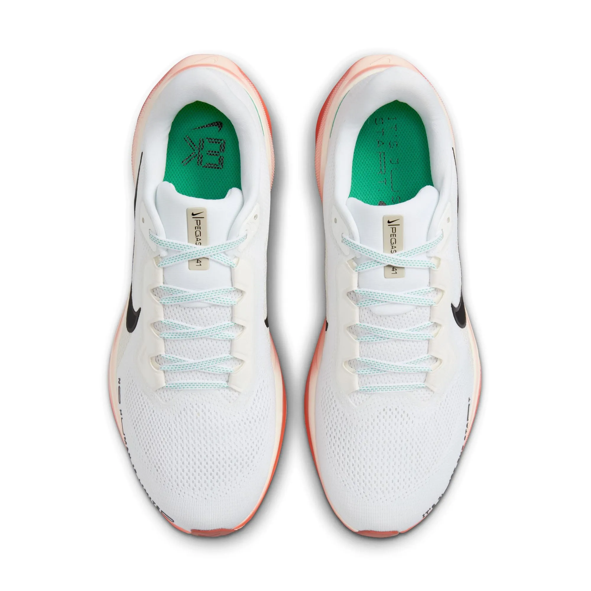 Pegasus 41 