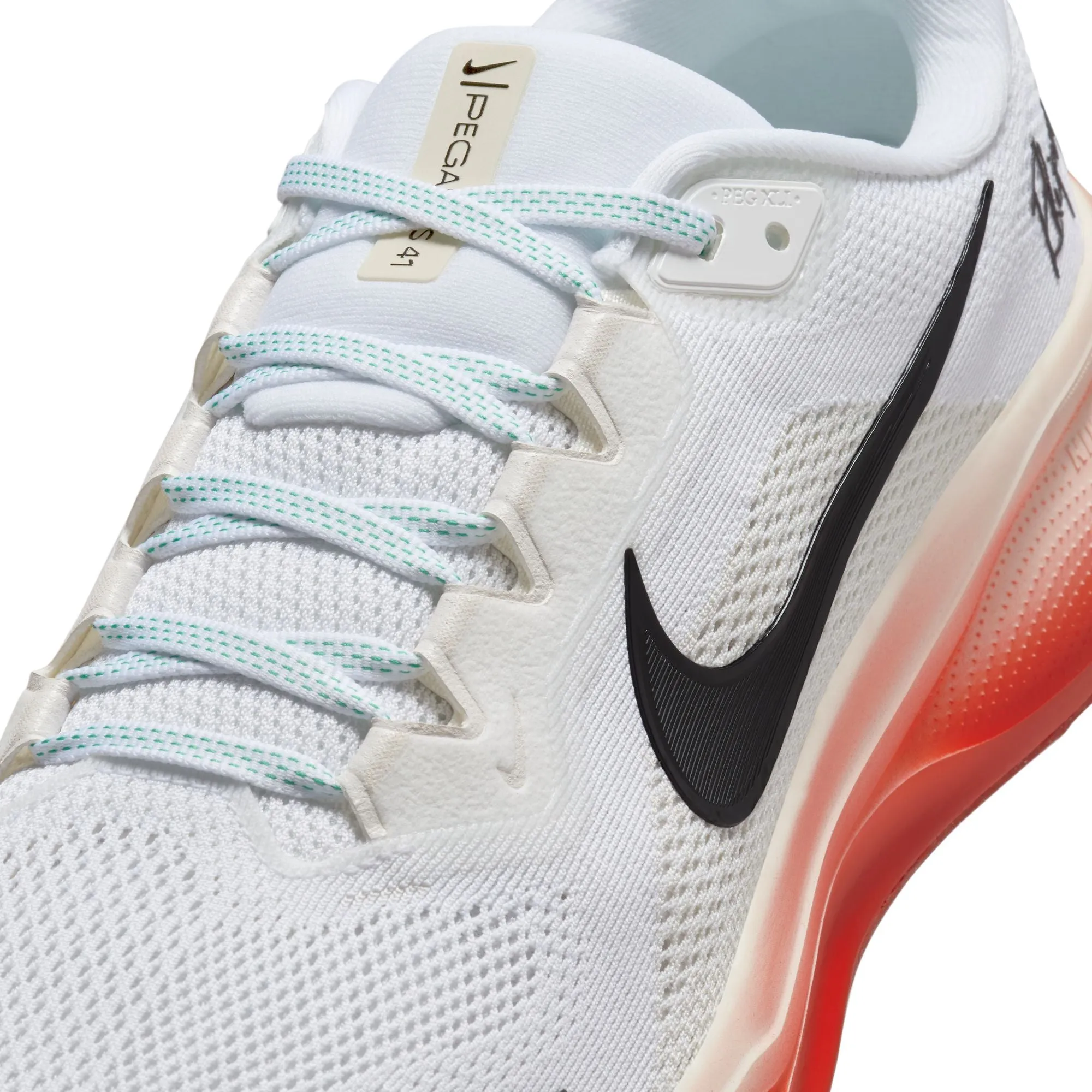 Pegasus 41 