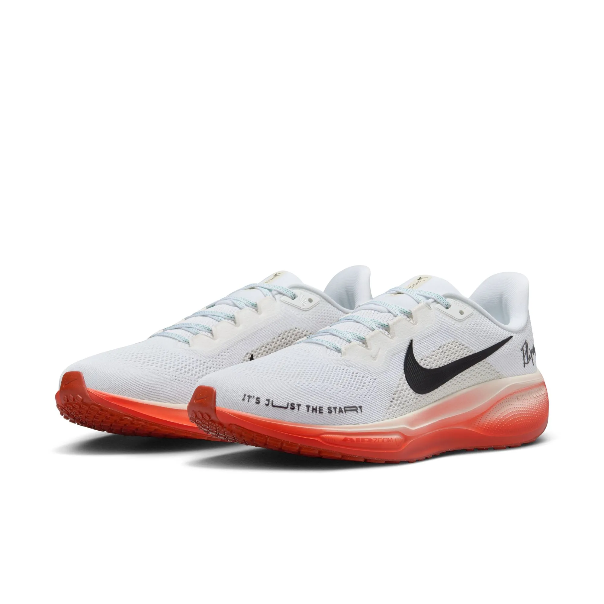 Pegasus 41 