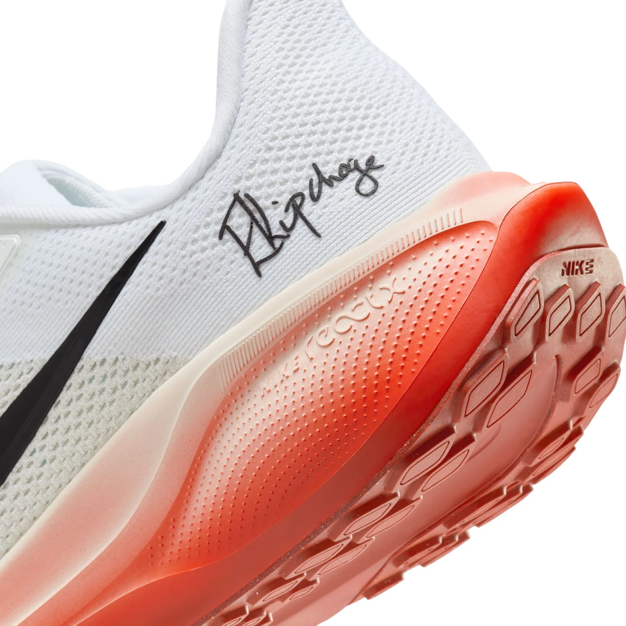 Pegasus 41 