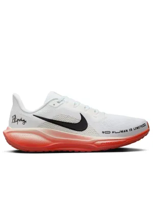 Pegasus 41 