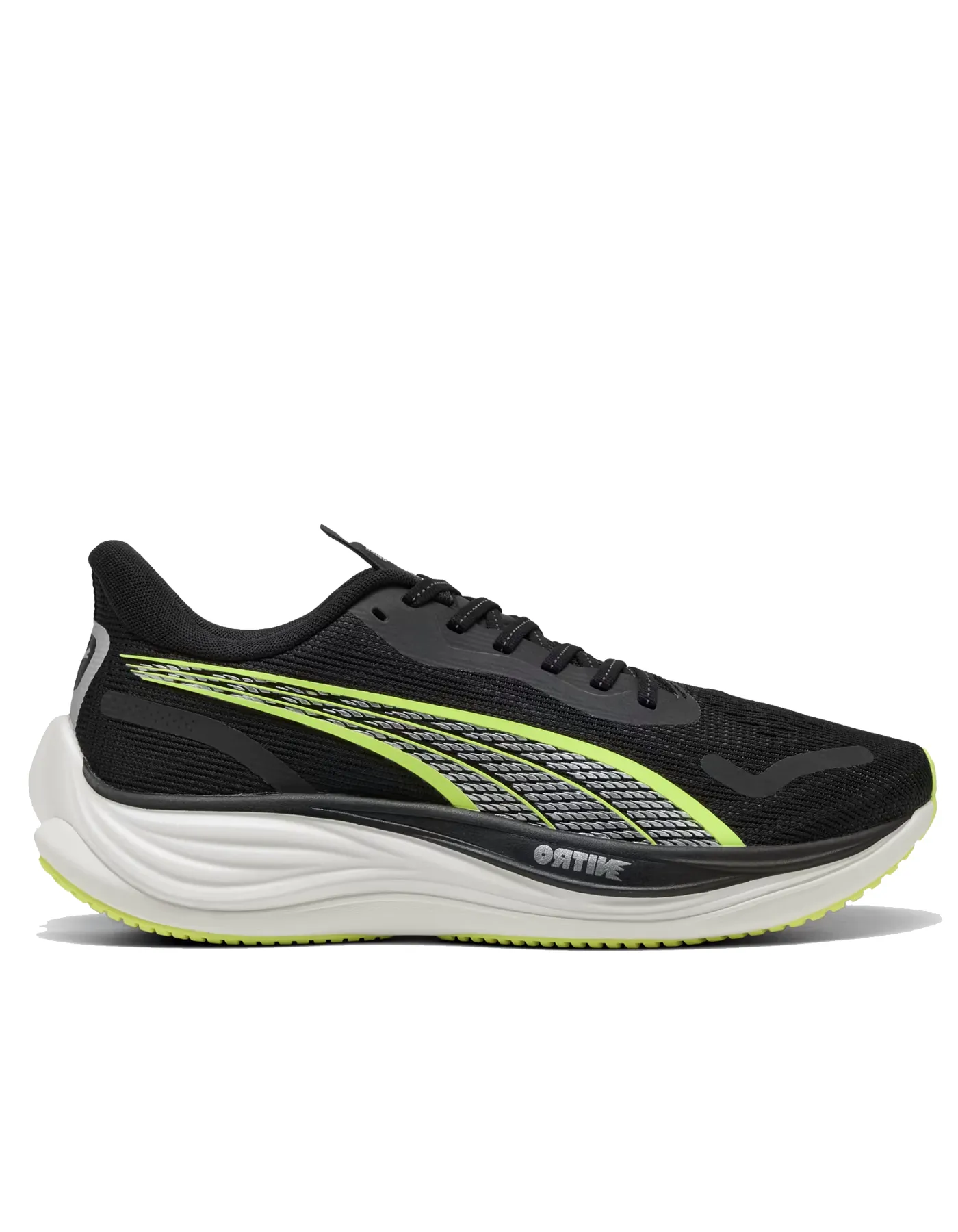 Velocity NITRO 3 - Herren